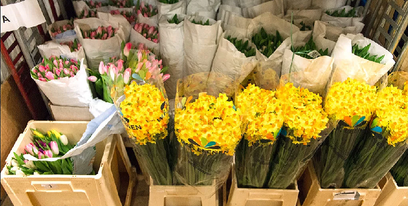 перевозка срезанных цветов 